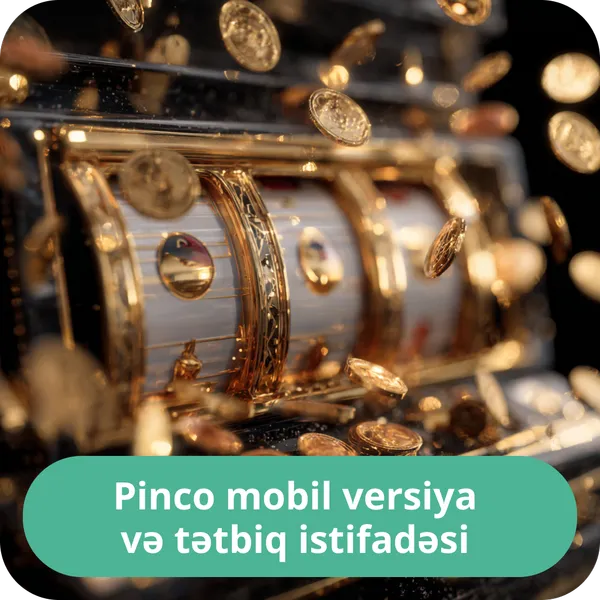 Pinco mobil versiya və tətbiq istifadəsi